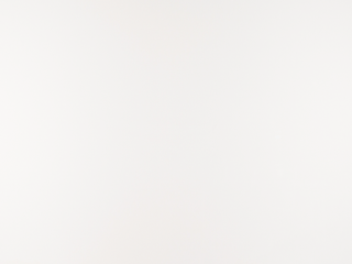 Pure White / Arctic White